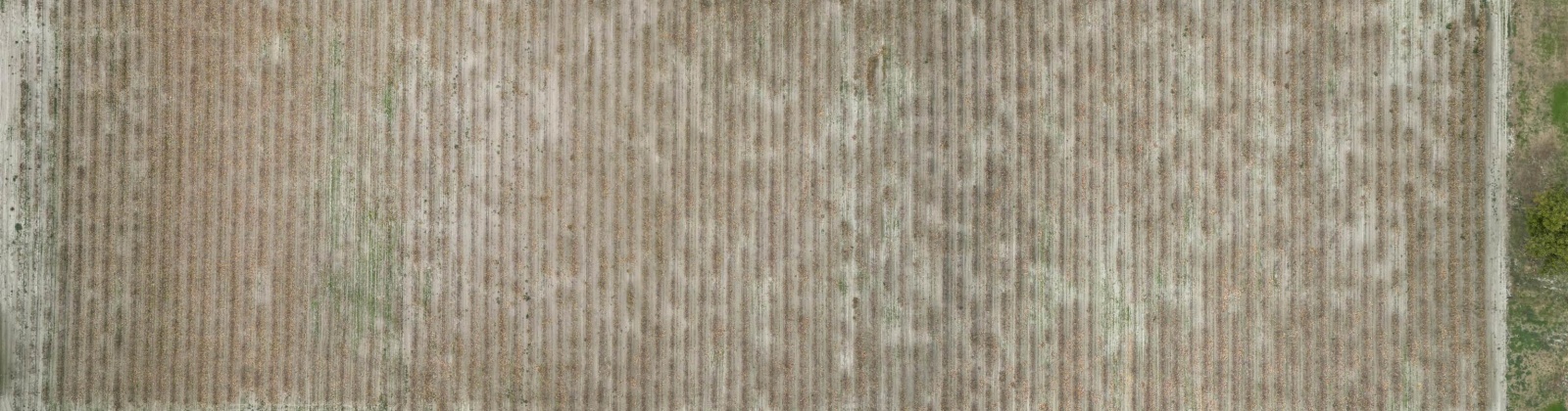 Forsell Road, Grandview, Washington 98930, 0 , 0 ,0,Land/lots,For Sale,Forsell Road,0,279852