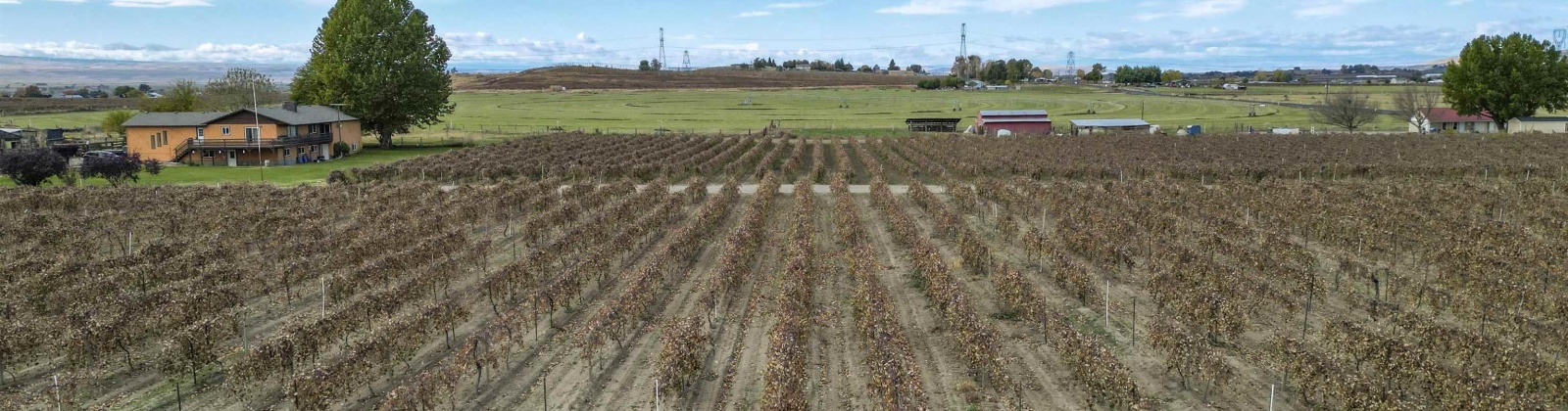 Forsell Road, Grandview, Washington 98930, 0 , 0 ,0,Land/lots,For Sale,Forsell Road,0,279852