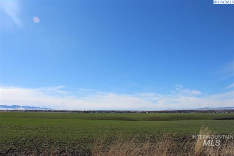 Burrell Ave, Lewiston, Idaho, 0 , 0 ,0,Land/lots,For Sale,Burrell Ave,0,288497 Burrell Ave, Lewiston, Idaho, 0 , 0 ,0,Land/lots,For Sale,Burrell Ave,0,288497