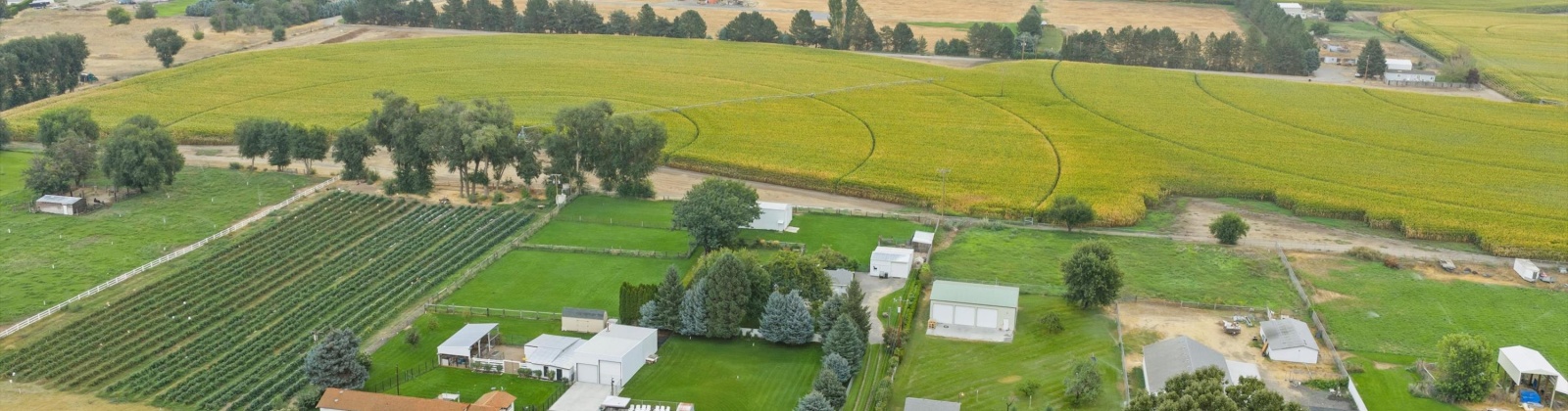 Sunset Dr, Burbank, Washington 99323, 4 Bedrooms Bedrooms, 0 ,2 BathroomsBathrooms,Houses,For Sale,Sunset Dr,0,287510