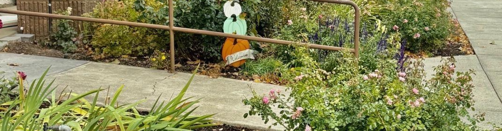 Mill St, Colfax, Washington 99111, 2 Bedrooms Bedrooms, 0 ,1 BathroomBathrooms,Condos/townhomes,For Sale,Mill St,0,288516