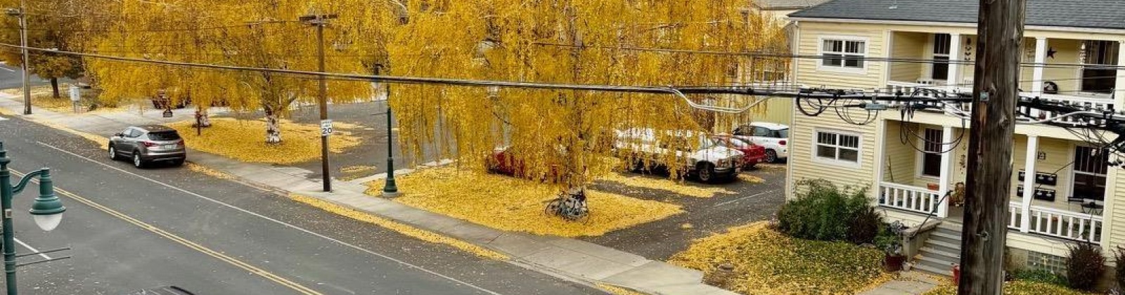 Mill St, Colfax, Washington 99111, 2 Bedrooms Bedrooms, 0 ,1 BathroomBathrooms,Condos/townhomes,For Sale,Mill St,0,288516