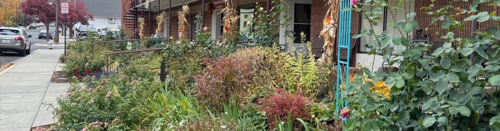 Mill St, Colfax, Washington 99111, 2 Bedrooms Bedrooms, 0 ,1 BathroomBathrooms,Condos/townhomes,For Sale,Mill St,0,288516