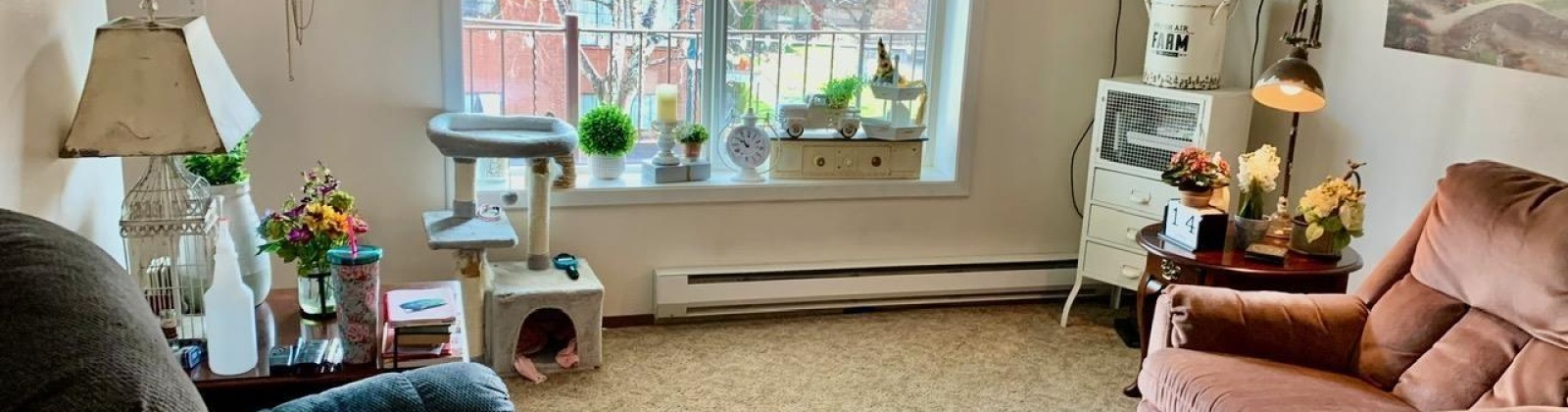 Mill St, Colfax, Washington 99111, 2 Bedrooms Bedrooms, 0 ,1 BathroomBathrooms,Condos/townhomes,For Sale,Mill St,0,288516