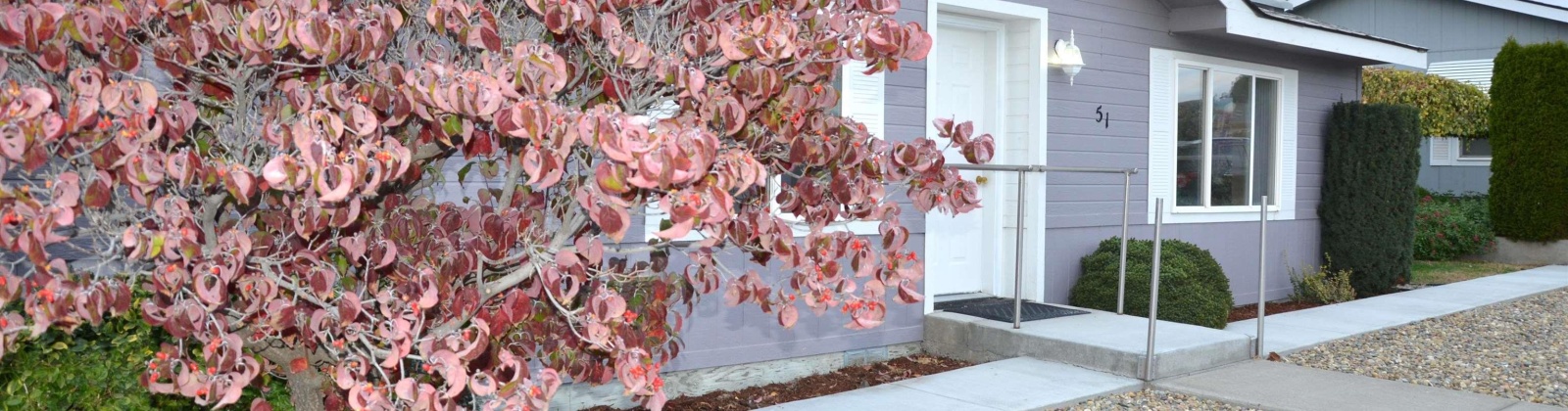 Old Inland Empire, Prosser, Washington 99350, 2 Bedrooms Bedrooms, 0 ,2 BathroomsBathrooms,Manufactured Homes,For Sale,Old Inland Empire,0,288545