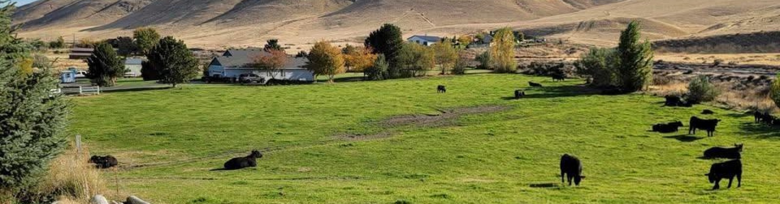 S 816 PR SE, Kennewick, Washington 99338, 0 , 0 ,0,Land/lots,For Sale,S 816 PR SE,0,288580