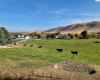 S 816 PR SE, Kennewick, Washington 99338, 0 , 0 ,0,Land/lots,For Sale,S 816 PR SE,0,288580