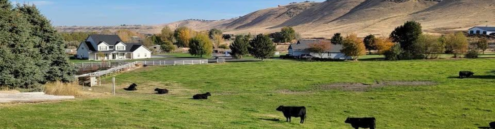 S 816 PR SE, Kennewick, Washington 99338, 0 , 0 ,0,Land/lots,For Sale,S 816 PR SE,0,288580