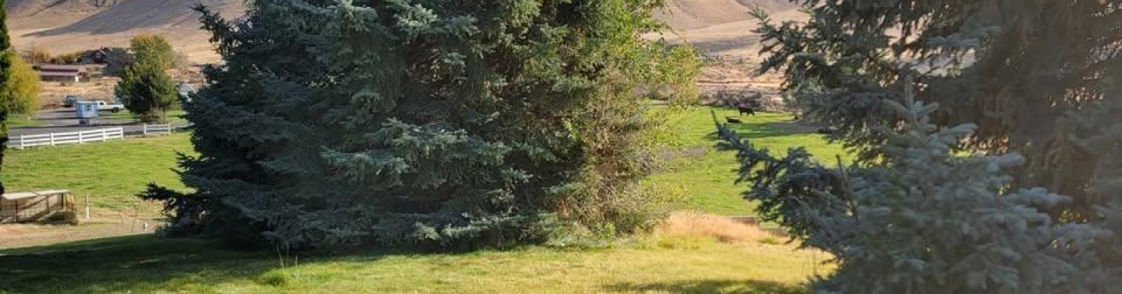 S 816 PR SE, Kennewick, Washington 99338, 0 , 0 ,0,Land/lots,For Sale,S 816 PR SE,0,288580