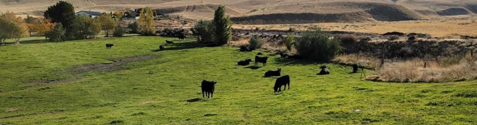 S 816 PR SE, Kennewick, Washington 99338, 0 , 0 ,0,Land/lots,For Sale,S 816 PR SE,0,288580