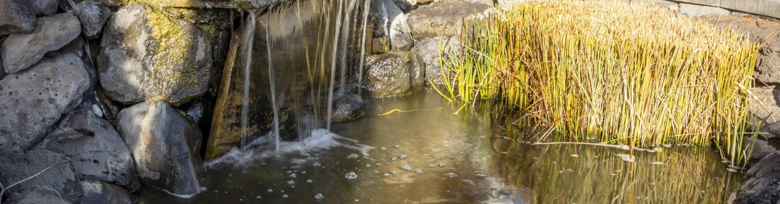 North River Road, Prosser, Washington 99350, 4 Bedrooms Bedrooms, 0 ,2 BathroomsBathrooms,Houses,For Sale,North River Road,0,288591