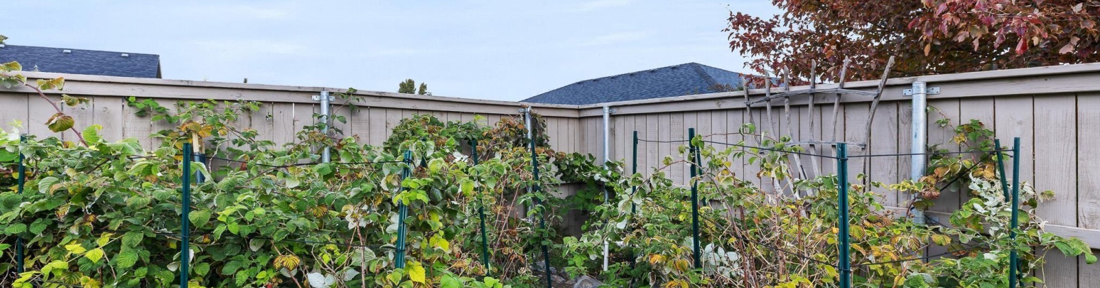 24th Ave, Kennewick, Washington 99338, 4 Bedrooms Bedrooms, 0 ,3 BathroomsBathrooms,Houses,For Sale,24th Ave,0,288587