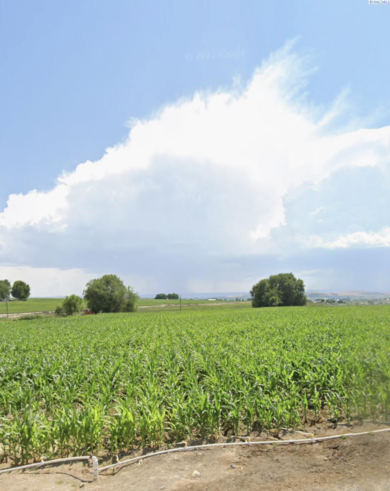 Independence Rd., Sunnyside, Washington 98944, 0 , 0 ,0,Agricultural Land,For Sale,Independence Rd.,0,279388