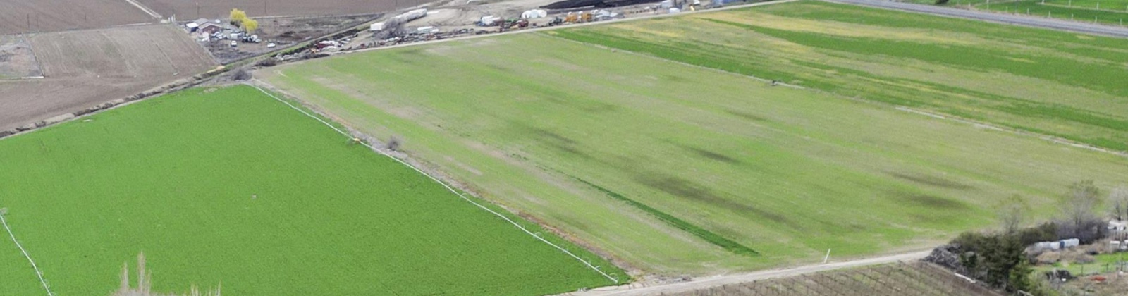 Independence Road, Sunnyside, Washington 98944, 3 Bedrooms Bedrooms, 0 ,1 BathroomBathrooms,Houses,For Sale,Independence Road,0,282921