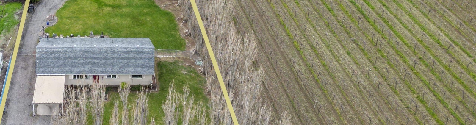 Independence Road, Sunnyside, Washington 98944, 3 Bedrooms Bedrooms, 0 ,1 BathroomBathrooms,Houses,For Sale,Independence Road,0,282921