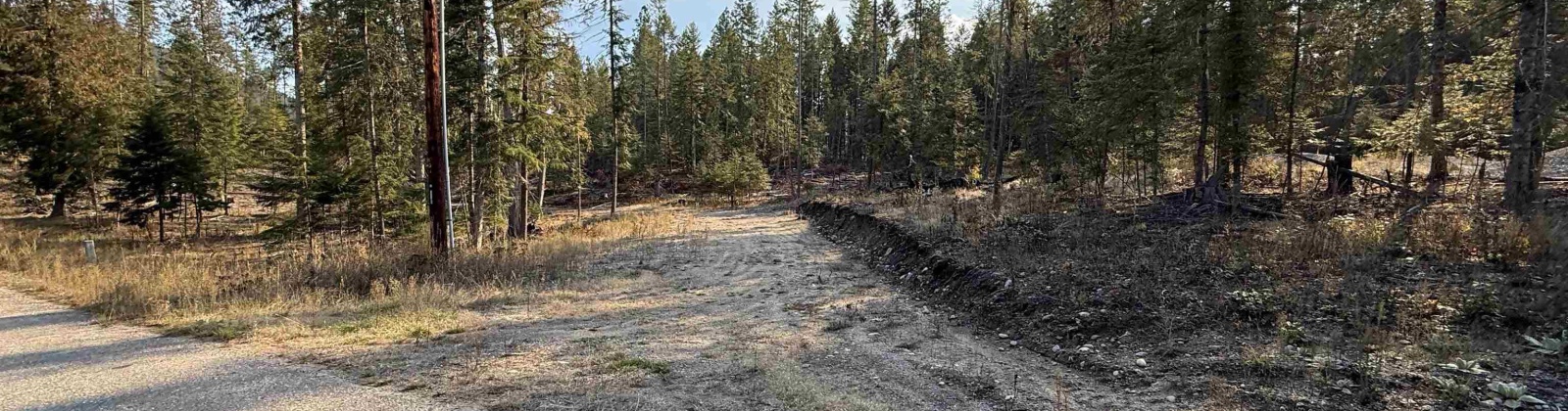 Arthurs Blvd., Other, Washington 99119, 0 , 0 ,0,Special Use,For Sale,Arthurs Blvd.,0,288658