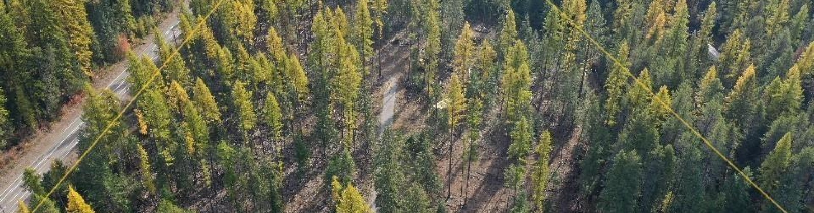 Arthurs Blvd, Other, Washington 99119, 0 , 0 ,0,Special Use,For Sale,Arthurs Blvd,0,288659