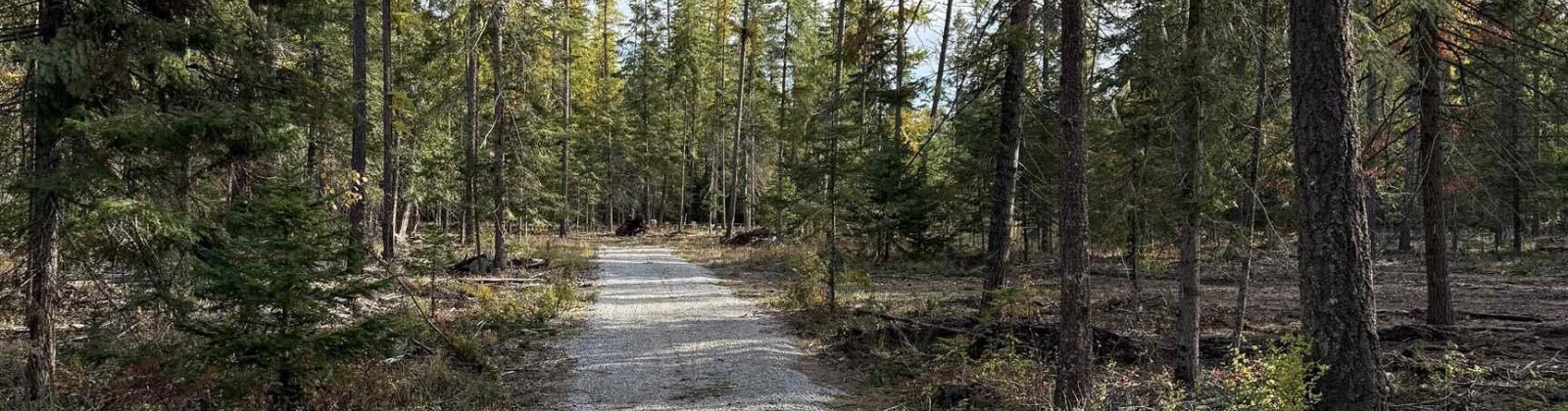 Arthurs Blvd, Other, Washington 99119, 0 , 0 ,0,Special Use,For Sale,Arthurs Blvd,0,288659