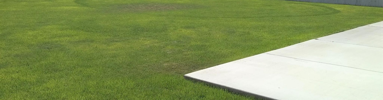 St Paul Lane, Pasco, Washington 99301, 4 Bedrooms Bedrooms, 0 ,3 BathroomsBathrooms,Houses,For Rent,St Paul Lane,0,288667