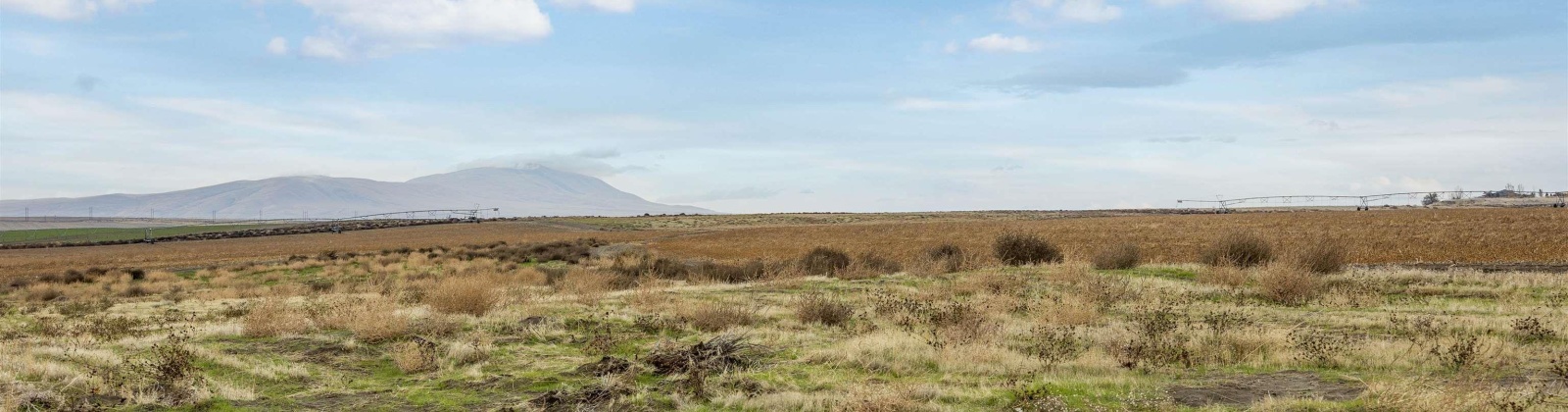 James Street, West Richland, Washington 99353, 3 Bedrooms Bedrooms, 0 ,2 BathroomsBathrooms,Manufactured Homes,For Sale,James Street,0,288687