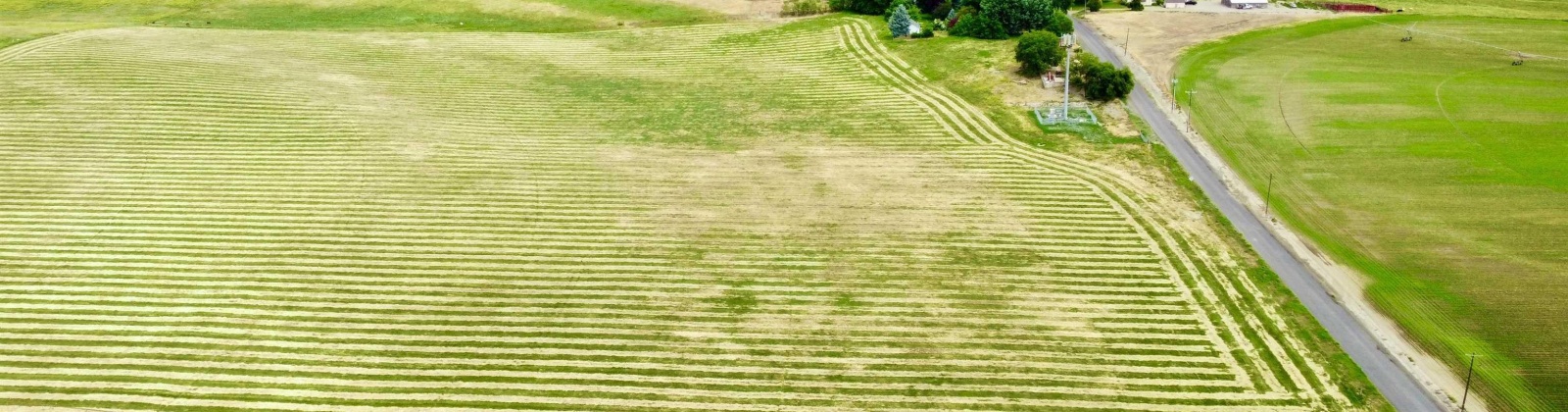 Liberty Rd., Granger, Washington 98932, 0 , 0 ,0,Agricultural Land,For Sale,Liberty Rd.,0,288686