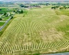 Liberty Rd., Granger, Washington 98932, 0 , 0 ,0,Agricultural Land,For Sale,Liberty Rd.,0,288686