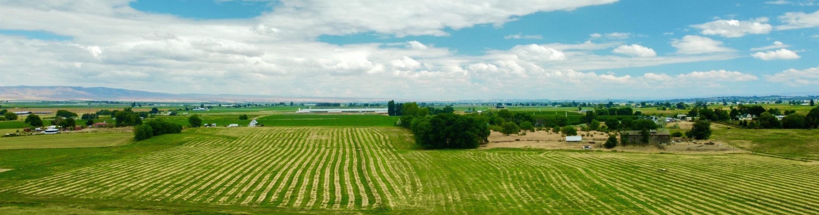 Liberty Rd., Granger, Washington 98932, 0 , 0 ,0,Agricultural Land,For Sale,Liberty Rd.,0,288686