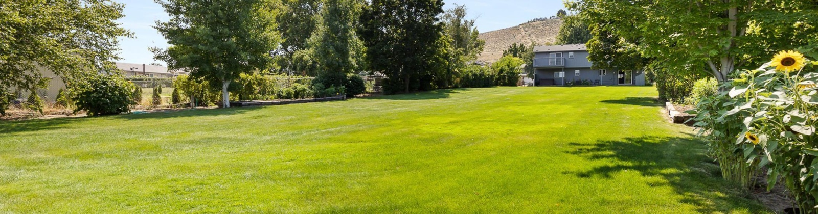 20th, Kennewick, Washington 99338, 4 Bedrooms Bedrooms, 0 ,3 BathroomsBathrooms,Houses,For Sale,20th,0,288693