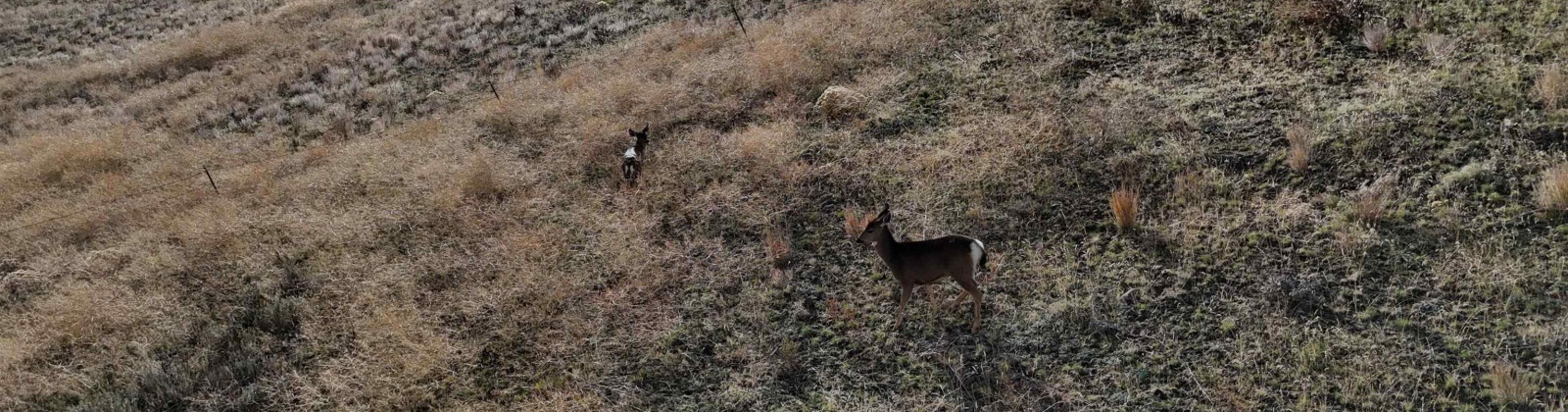 Elk Ridge Ln / Wenas Rd, Selah, Washington 98942, 0 , 0 ,0,Land/lots,For Sale,Elk Ridge Ln / Wenas Rd,0,288740