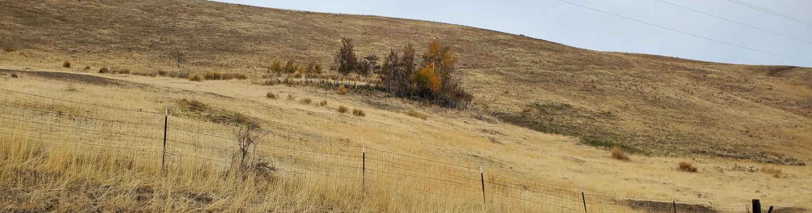 Elk Ridge Ln / Wenas Rd, Selah, Washington 98942, 0 , 0 ,0,Land/lots,For Sale,Elk Ridge Ln / Wenas Rd,0,288740