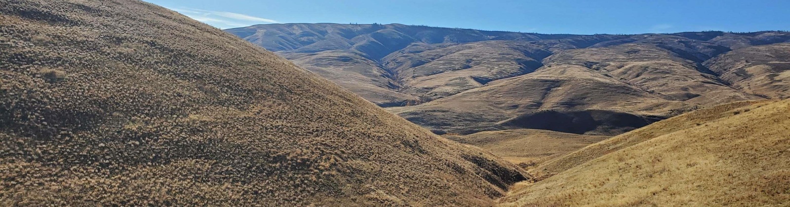 Elk Ridge Ln / Wenas Rd, Selah, Washington 98942, 0 , 0 ,0,Land/lots,For Sale,Elk Ridge Ln / Wenas Rd,0,288740