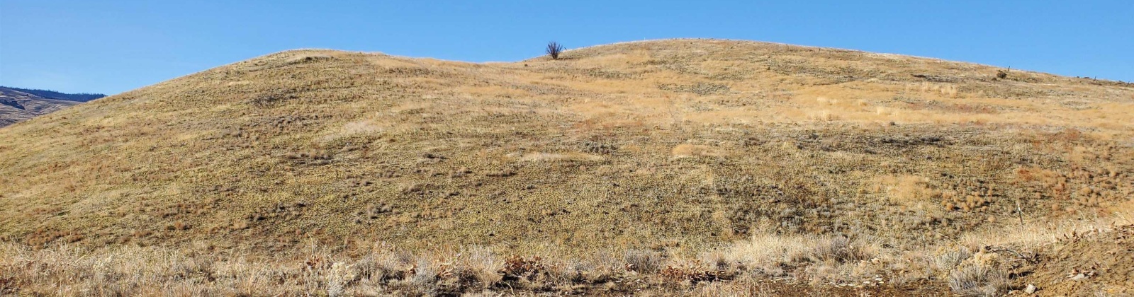 Elk Ridge Ln / Wenas Rd, Selah, Washington 98942, 0 , 0 ,0,Land/lots,For Sale,Elk Ridge Ln / Wenas Rd,0,288740