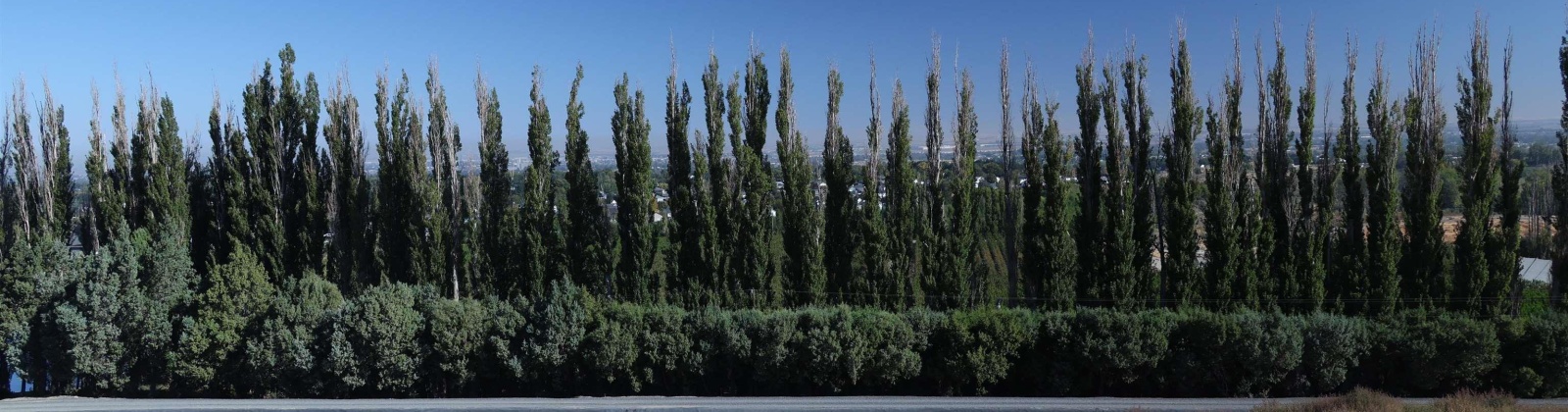 W 56th Ave, Kennewick, Washington 99337, 0 , 0 ,0,Land/lots,For Sale,W 56th Ave,0,288743