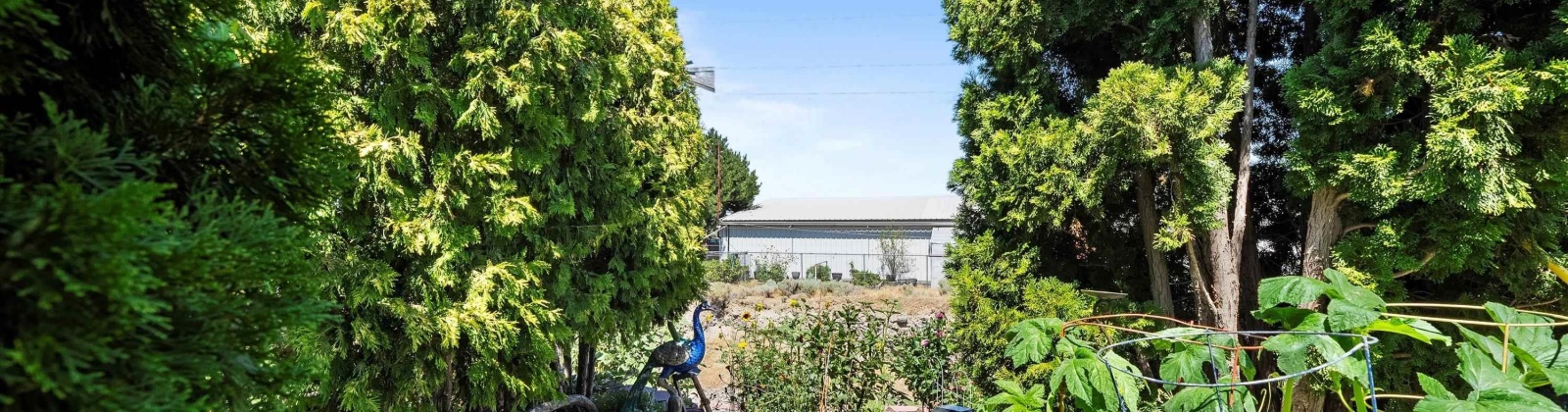 Rio Grande Ave Unit F, Kennewick, Washington 99336, 3 Bedrooms Bedrooms, 0 ,2 BathroomsBathrooms,Condos/townhomes,For Sale,Rio Grande Ave Unit F,0,286225