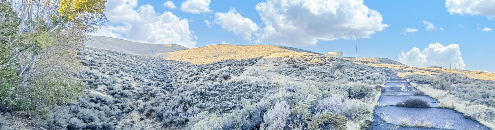 Mountainview Road, Prosser, Washington, 0 , 0 ,0,Agricultural Land,For Sale,Mountainview Road,0,288747