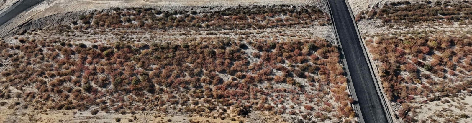 W 56th Ave, Kennewick, Washington 99337, 0 , 0 ,0,Land/lots,For Sale,W 56th Ave,0,288777