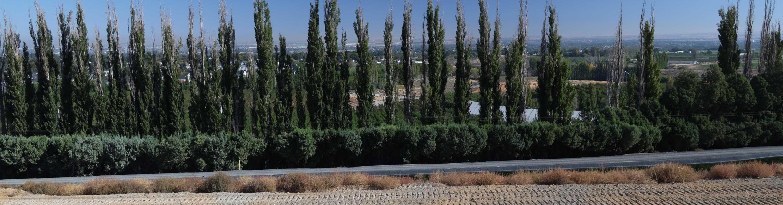 W 56th Ave, Kennewick, Washington 99337, 0 , 0 ,0,Land/lots,For Sale,W 56th Ave,0,288768