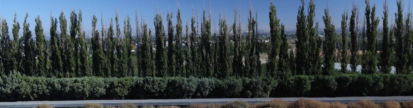 W 56th Ave, Kennewick, Washington 99337, 0 , 0 ,0,Land/lots,For Sale,W 56th Ave,0,288767