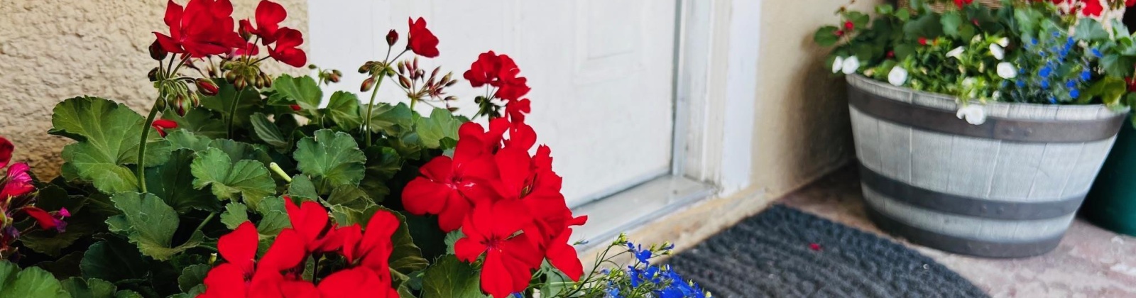 Liberty St, St. John, Washington 99171, 4 Bedrooms Bedrooms, 0 ,2 BathroomsBathrooms,Houses,For Sale,Liberty St,0,288780