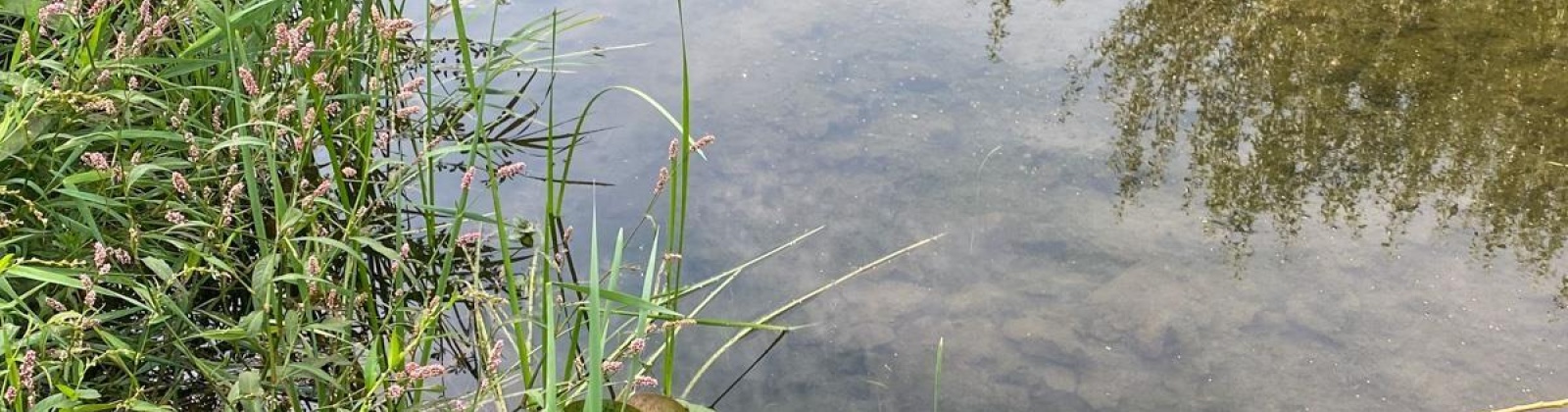 Hinzerling Road, Prosser, Washington 99350, 0 , 0 ,0,Special Use,For Sale,Hinzerling Road,0,286232