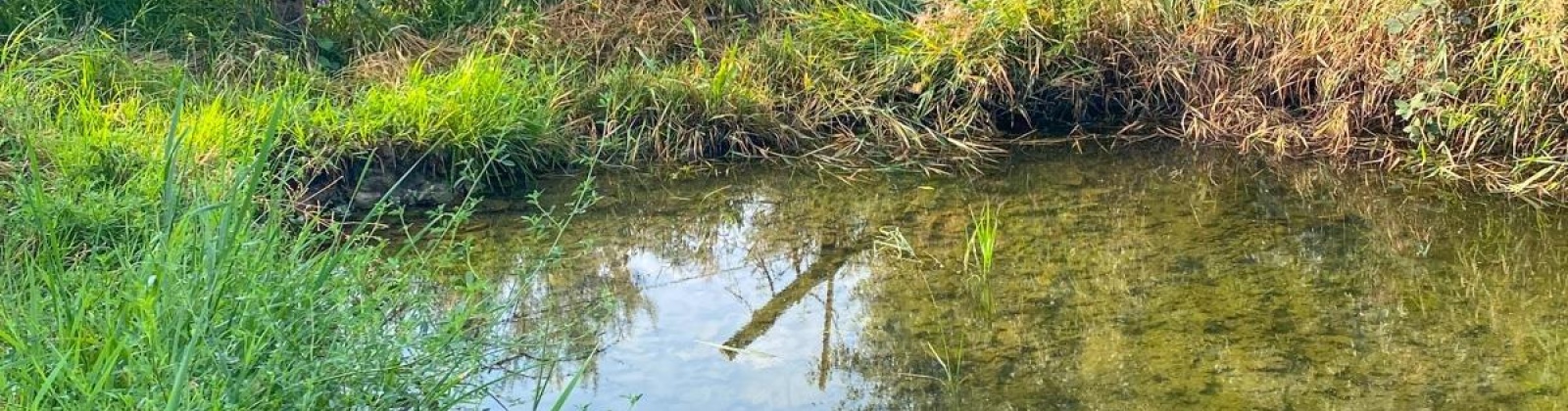 Hinzerling Road, Prosser, Washington 99350, 0 , 0 ,0,Special Use,For Sale,Hinzerling Road,0,286232