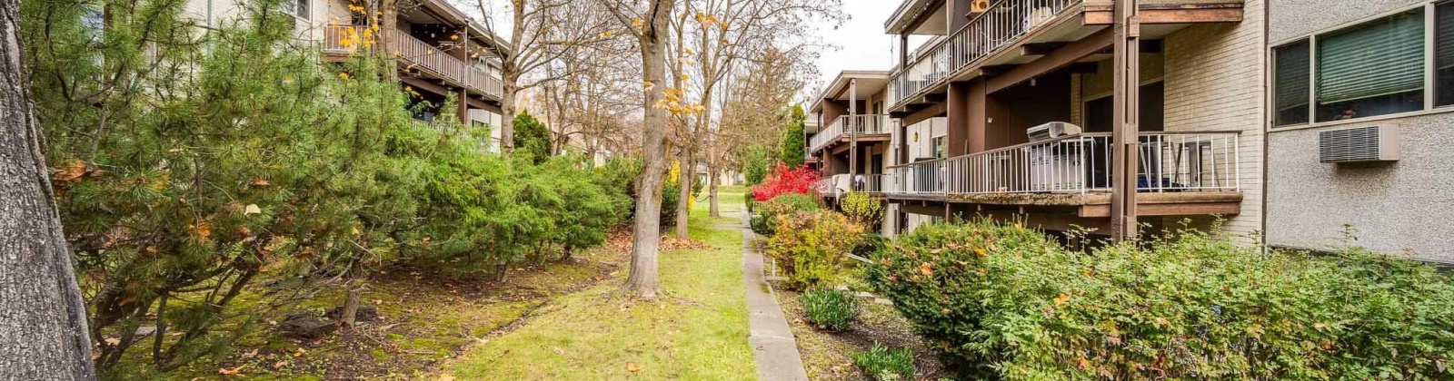 State St D-41, Pullman, Washington 99163, 2 Bedrooms Bedrooms, 0 ,1 BathroomBathrooms,Condos/townhomes,For Sale,State St D-41,0,288795