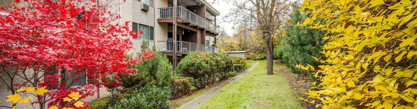 State St D-41, Pullman, Washington 99163, 2 Bedrooms Bedrooms, 0 ,1 BathroomBathrooms,Condos/townhomes,For Sale,State St D-41,0,288795