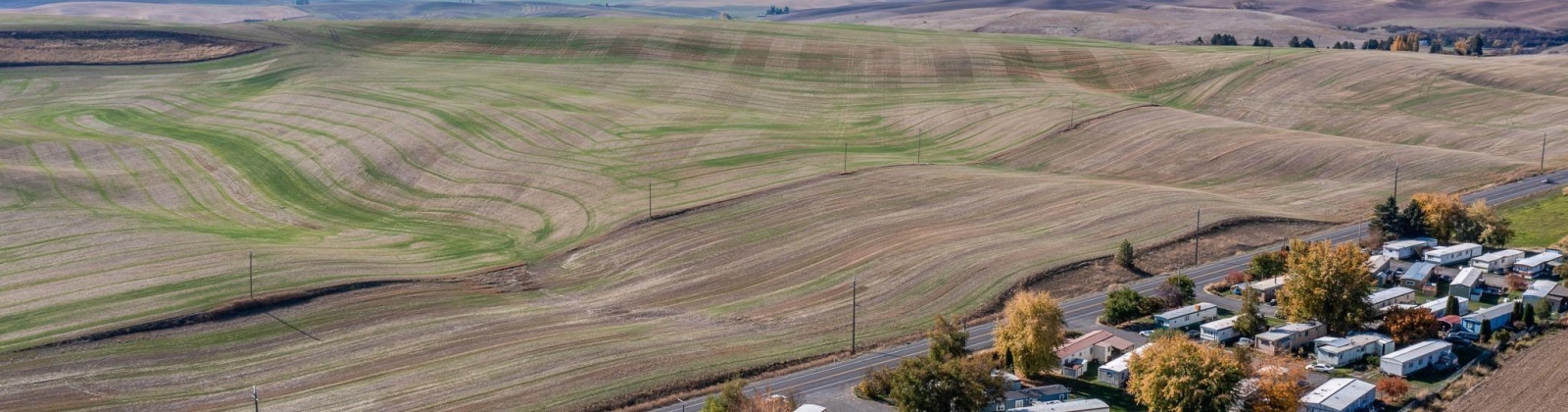 Pullman Albion Rd, Pullman, Washington 99163, 3 Bedrooms Bedrooms, 0 ,1 BathroomBathrooms,Manufactured Homes,For Sale,Pullman Albion Rd,0,288793