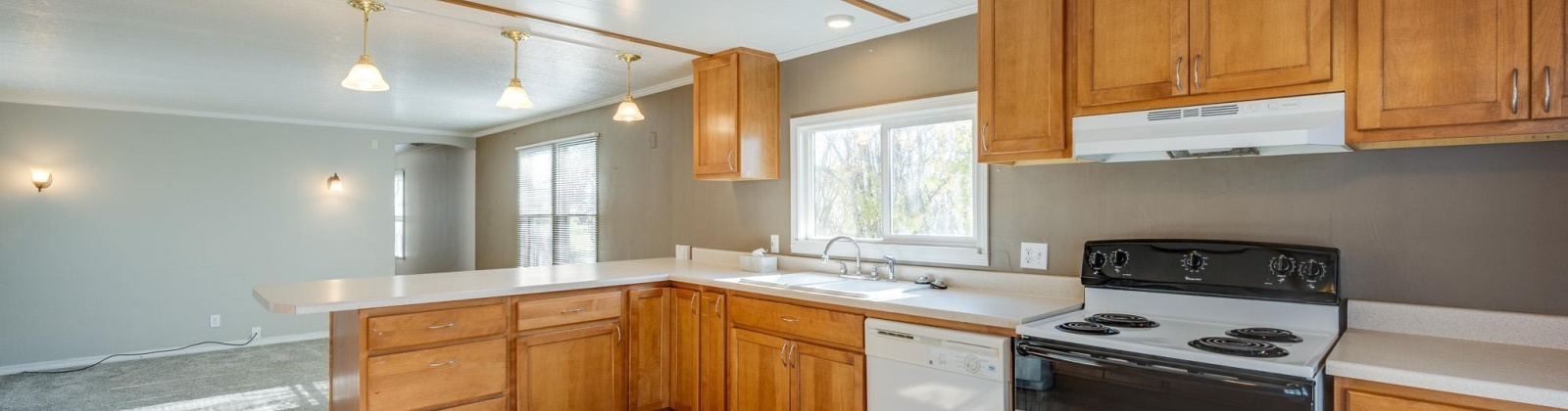 Pullman Albion Rd, Pullman, Washington 99163, 3 Bedrooms Bedrooms, 0 ,1 BathroomBathrooms,Manufactured Homes,For Sale,Pullman Albion Rd,0,288793