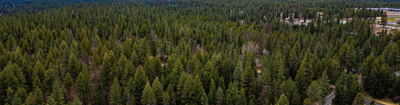 Deer Park Milan Rd, Other, Washington 99003, 0 , 0 ,0,Land/lots,For Sale,Deer Park Milan Rd,0,288856