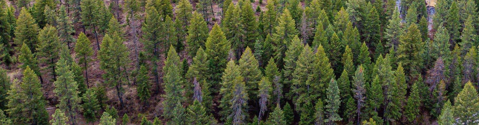 Deer Park Milan Rd, Other, Washington 99003, 0 , 0 ,0,Land/lots,For Sale,Deer Park Milan Rd,0,288856