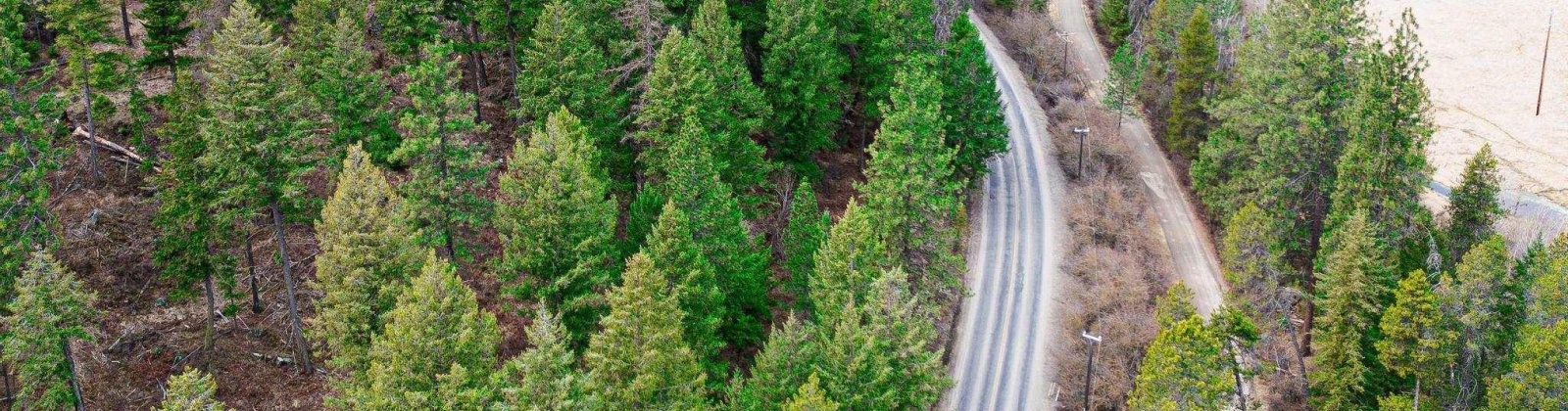 Deer Park Milan Rd, Other, Washington 99003, 0 , 0 ,0,Land/lots,For Sale,Deer Park Milan Rd,0,288856