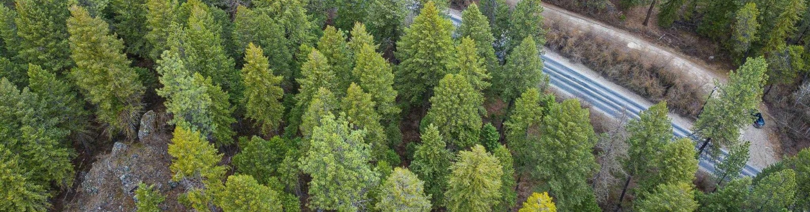 Deer Park Milan Rd, Other, Washington 99003, 0 , 0 ,0,Land/lots,For Sale,Deer Park Milan Rd,0,288856