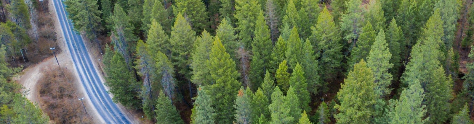 Deer Park Milan Rd, Other, Washington 99003, 0 , 0 ,0,Land/lots,For Sale,Deer Park Milan Rd,0,288856